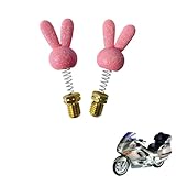 Descripción del producto: Este tapa retrovisores moto en aleación de aluminio y es resistente a la alta presión, la corrosión, el desgaste y la oxidación. Mejora la apariencia de su motocicleta y sirve como elemento decorativo, lo que lo convierte en un accesorios ideal para tuning. El resorte de acero inoxidable es altamente resistente a la deformación y la pérdida de elasticidad