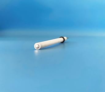 Nickel Electrode, Ni-Nickel Disk Electrode, Metal Disc Electrode, Laboratory Electrochemistry, Electrolysis Experiment Electrode, Fuel Cell Research Electrode Diameter=5mm