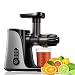 Produktbild Slow Juicer Entsafter Gemüse und Obst Profi Entsafter mit Ruhiger Motor & Umkehrfunktion & Saftkanne & Reinigungsbürste