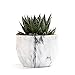 SE SUN-E Sun-E Modern Style Marbling Ceramic Flower Pot Succulent/Cactus Planter Pots Container Bonsai Planters with Hole 3.35 Inch Gift Idea(4 in Set) Plants Not Included