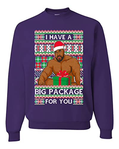 Wild Bobby I have a Big package Meme Ugly Christmas Sweater Unisex Crewneck Graphic Sweatshirt, Purple, XX-Large