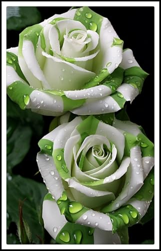 Resistente al frío - Raíces de rosas - Vertical - Decoración paisajística para terraza y jardín - /【CXXFGFT】.-1 rizoma-F