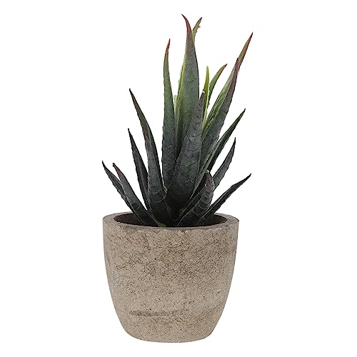 TOYMYTOY 2個 シミュレーションプラント ミニ 工場 緑の植物 多肉植物 飾る