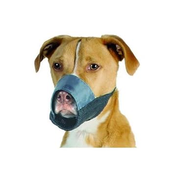 dog muzzle petco