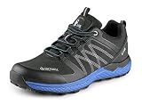 Canis CXS Sport Softshell Arbeitsschuhe Sicherheitsschuhe Herren Damen leicht Sportschuhe bequem Outdoor Trekking Schuhe atmungsaktiv EN-20345; schwarz mit Blaue; (42)