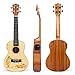 Produktbild Kmise Elektroakustische Ukulele Hawaii-Gitarre Konzert Ukulele mit EQ, Solide Fichte Sapele 58,4 cm Concert (UK-24C)