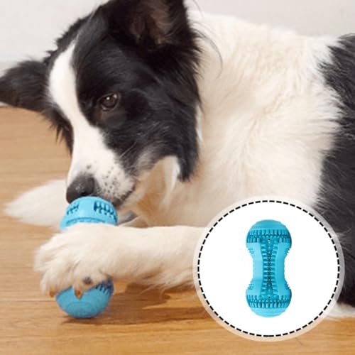 Juguete masticable para cachorros de goma azul interactivo inteligencia 8
