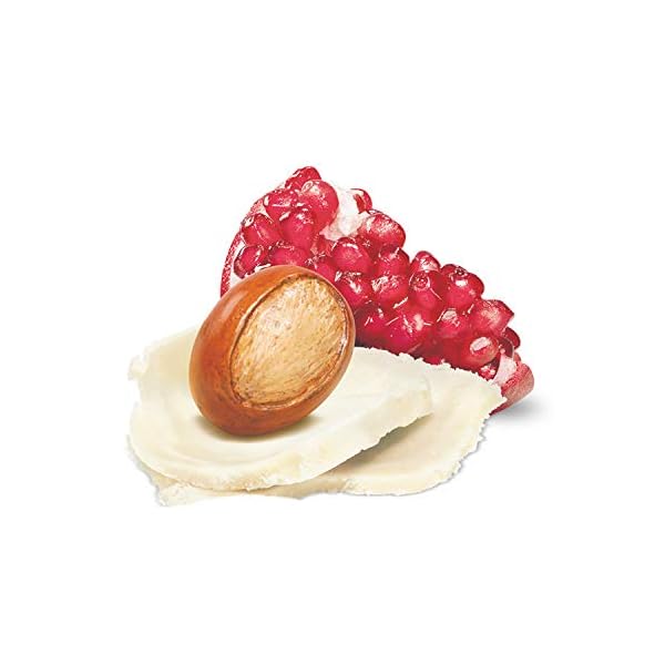 Dove-Whipped-Body-Cream-Dry-Skin-Moisturizer-Pomegranate-and-Shea-Butter-Nourishes-Deeply-10-Oz Dove Whipped Body Cream Dry Skin Moisturizer Pomegranate and Shea Butter Nourishes Deeply, 10 Oz