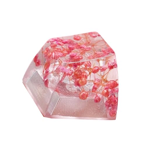 {̉ԕG|LVL[Lbv  JjJL[{[hpL[Lbvp 1