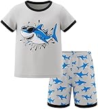 HONGTEYA Toddler Boys Clothes Kids Cotton Clothes Fun Cool Summer Short Wear in Night Size 2-7T