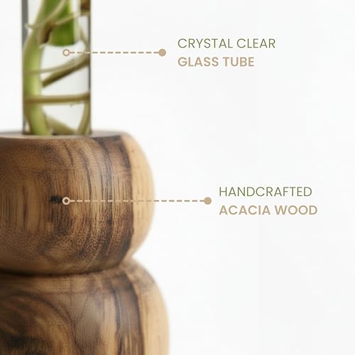 Image of Wooden Test Tube Planter Vase with Wooden Stand | Glass Tube for Indoor Plants, Cuttings & Hydroponics | Minimalist Bud Vase | Modern Flower Stand | Unique Home Office Decor Gift.(3 Steps Designe)