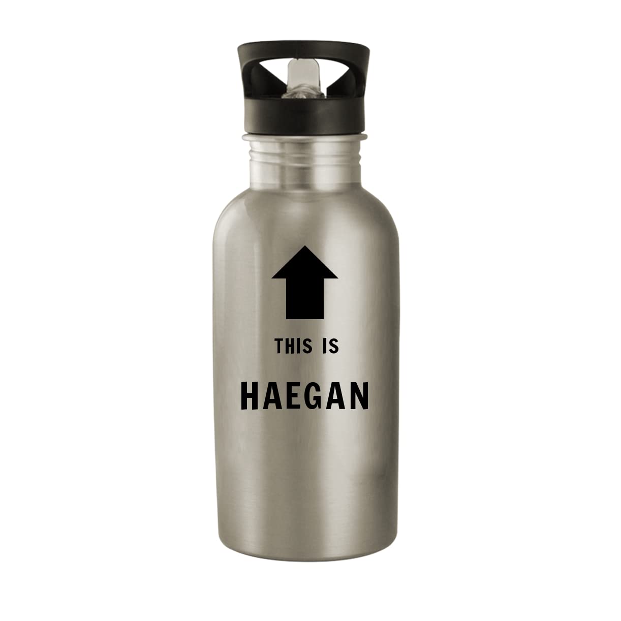 This Is Haegan - 20oz Stainless Steel Water Bottle, Silver