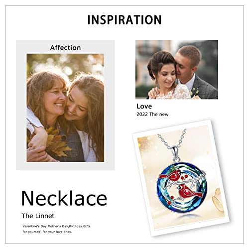 Poplyke Sterling Silver Red Cardinal Pendant Cardinal Necklace Gifts For Women Wit Blue Crystal Jewelry Gifts For Mom (Silver-Two Cardinal Crystal Necklace) #TOP5