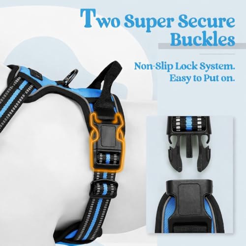 Image of Lyrovo Adjustable No-Pull Dog Harness with Leash Set for Small, Medium & Large Dogs - Reflective, Breathable, Comfortable Vest Harness for Training & Walking (Blue, S (4-13Kg))