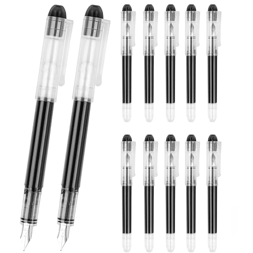 FEIDIAO 12Pcs Disposable Fountain Pens,Smooth Writing Black Pens,Quick Drying Ink Pen,Office School Supplies for Doodling,Sketching,Calligraphy(Black)