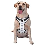 Performance du produit : ce gilet pour animal de compagnie aux yeux maléfiques est fabriqué en tissu de fibre de polyester. La doublure est fabriquée en tissu maille pour garder votre chien au frais pendant la promenade ou le jeu.