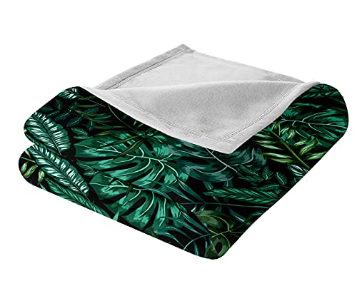 Bedding_Dreamer Green Leaf Blanket Throw Tropical Plant Blanket Exotic Tropical Leaves Fresh Jungle Blanket Botanical Flannel Throw Blanket For Couch Sofa Bed (Throw(50''X60''), Palm) #TOP3