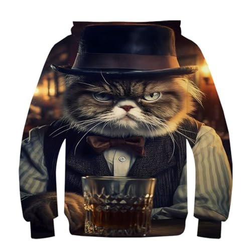 Pull à capuche drôle Grumpy Cat le cadeau d'anniversaire parfait pour enfant de 7 à 9 ans