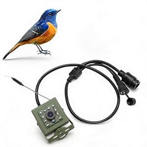 SENECESLI Bird Box Camera, Draadloze WiFi Binnenbeveiligingscamera met 10 LED Groothoek Nachtzicht en Ontworpen voor Vogelhuisjes, Ondersteuning voor IOS Android Telefoon Bewaking op (IMX335
