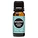 Edens Garden Eucalyptus- Radiata Essential Oil- 100% Pure Premium Grade, Undiluted, Natural, Therapeutic, Aromatherapy, The Best for Diffuser, Laundry, Hair, Humidifiers 10 ml (.33 fl oz)