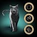 Sheba Classics in Pastete – Katzenfutter als Pasteten mit feinen Stückchen – Ente und Huhn – Getreidefrei – 22 x 85g
