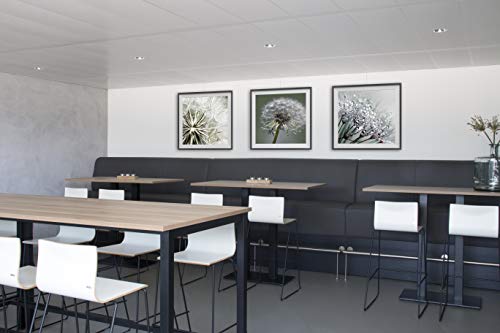 Stas Picture Hanging System: Stas Prorail Flat White (150Cm/~59") + Installation Kit #TOP3