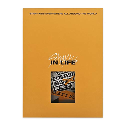 Stray Kids IN生 IN LIFE B Type coffret cadeau musical pour passionné