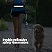 Nobleza Joggingleine für Hunde, freihändige Leine mit Gürteltasche, Handfreie Hundeleine für Laufen mit verstellbarem Hüftgurt Bungee Leine zum handfreien Joggen