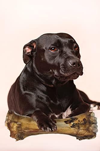 Jumbo Size Roasted Beef Shin Leg Bone Dog Treats Dog Food Dog All Natural and Healthy Dog Bone Treat Chews. Premium Grade XL Bone 1.5kg - Perfect for Medium and Large Dogs