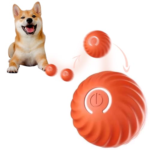 KJOET {[  d{[ ybg eރ{[ pi   ybgpi USB[d  ]  ^s΍ XgX ^p