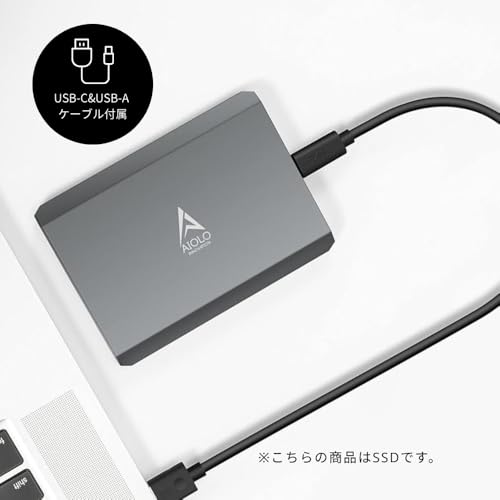 AIOLO INNOVATION SSD 1TB 外付け ポータブルSSD 3年保証 Type-C USB 3.0対応 テレビ録画 PC Windows Mac 高級アルミボディ 静音 耐衝撃高級アルミボディ (1TB-SSD)