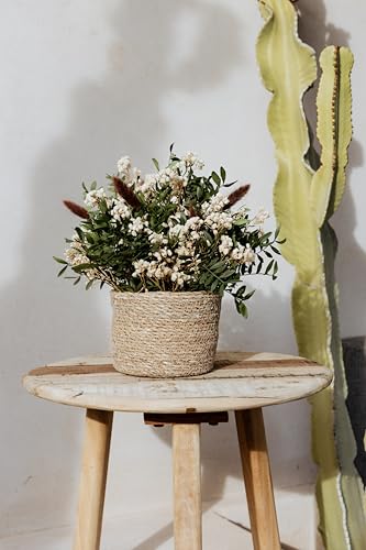 Querida Margarita – Centro Agropoli de flores preservadas, hecho a mano en España, 35x35 cm (Verde, 35x35)