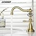 JXMMP Brushed Gold Bathroom Faucet, Stainless Steel 4 inch Centerset Bathroom Faucet with Drain and Supply Hose, 2 Hole Gold Faucet for Bathroom Sink