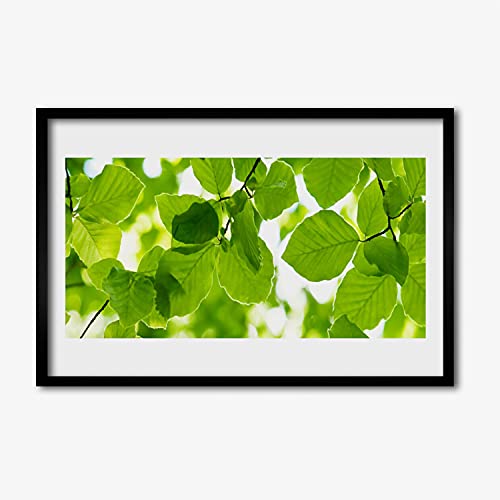 Affiche avec cadre salon chambre cuisine 60x40 cadre en MDF image photo feuilles de la nature