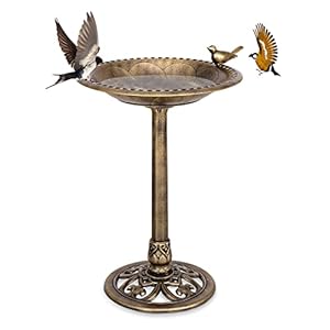 COSTWAY Vogelfutterstation Retro-Design, Bird Feeder Futterplatz, EIN Vogel auf Wasserschale, Vogeltränke für Wildvögel, Futterstation Vogelfutterspender, für Garten Vogelbad, 51 x 72 cm, Bronze