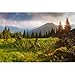 Laeacco 10x8Ft Mountain Forest Landscape Backdrop Natural Scenery Background Green Pine Trees Woods Cloudy Sky Hiking Camping Party Supplies Spring Summer Birthday Photo Studio