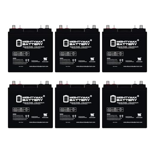 Mighty Max 8V AGM Battery Pack