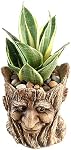 Funny Planter Tête Pot de plante avec trou de drainage Résine Succulent Plant Holder Crayon de bureau Organisateur Office Garden Cadeau (Smile Face)