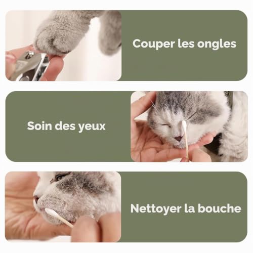 ZhouWei Hamac de Toilettage pour Animaux de Compagnie, Respirant et Lavable – vue 4