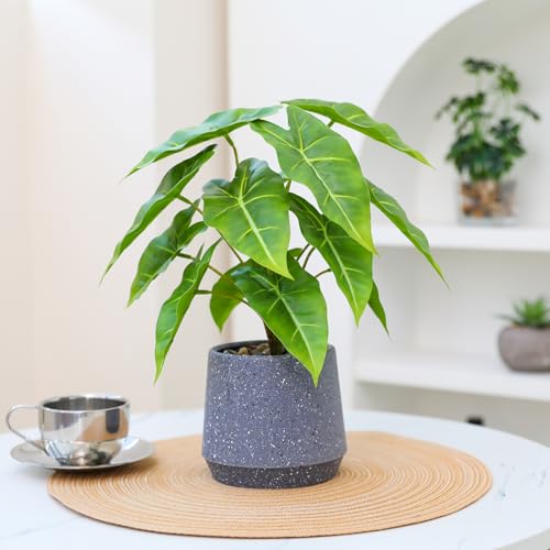 LUWENER Fake Plants Green in Grey Stone Pot,13" tall Faux Potted Plants for Home Office Indoor Artificial Potted Plant for Shelf Table Bathroom Bedroom Decoration (Sea taro leaves) - Cosy Home Interiors LUWENER Fake Plants Green in Grey Stone Pot,13" tall Faux Potted Plants for Home Office Indoor Artificial Potted Plant for Shelf Table Bathroom Bedroom Decoration (Sea taro leaves) - Image 3