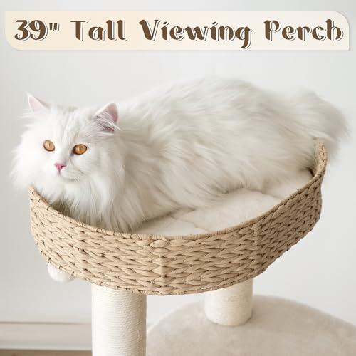 Image of KAMABOKO Modern Cat Tree, 39 inch Tall Cat Tree for Large Cats Cat Condo | Natural Sisal with Scratching Posts Indoor Cats, Hand-Woven Tower & Top Perch, Cat-Tree for Kittens Climb Play & Rest