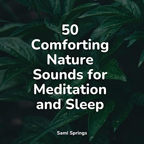50 Comforting Nature Sounds for Meditation and Sleep by Oasis of ...