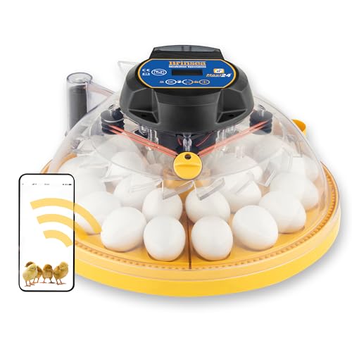 Couveuse Brinsea Maxi 24 EX Connect - Incubateur toutes options pour 24 œufs de poule, contrôlé par application