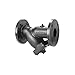 Keckley - 121FFY-CI125P34-FBI-A7 - 12 in Y Strainer, Flanged, 1/8 in Mesh, 29 7/8 in Length, Cast Iron