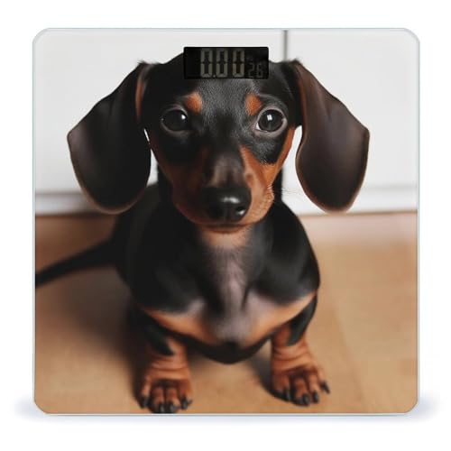 Báscula digital GHEPSDW Cute Wiener Sausage Dog miniatura 1