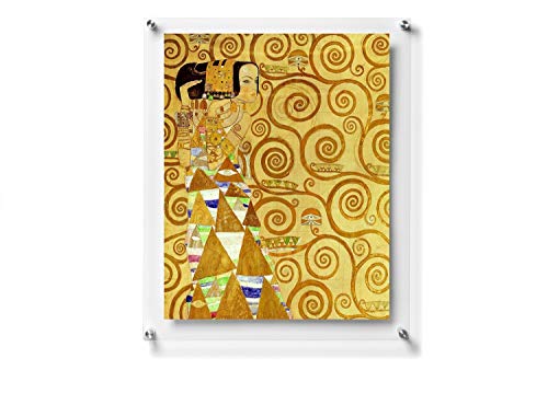 B&Nn Double Panel Floating Clear Acrylic Wall Mounted Sign Frame Certificate Frame Wall Photo Or Document Frame cover
