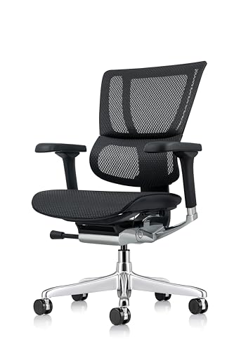 Ergohuman Eurotech ME3ERG-XTREME Mid Back Mesh Office Chair with Tilt Tension Control, Tilt Lock, Back Angle, Back Height, Synchro Tilt, Seat Height, Seat Depth, and Arm Height Adjustments