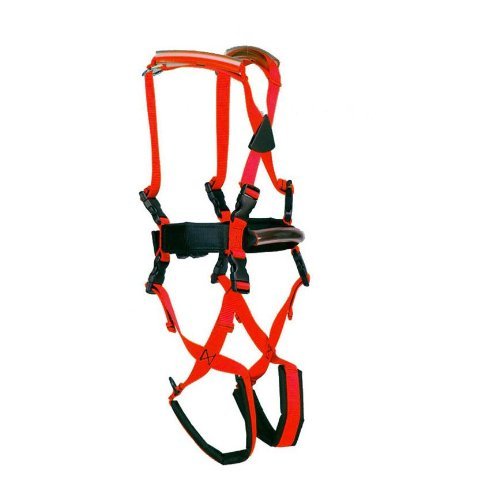 Buy Child Gait Trainer Gait Training Harness for Special Needs Kids Online at desertcartINDIA