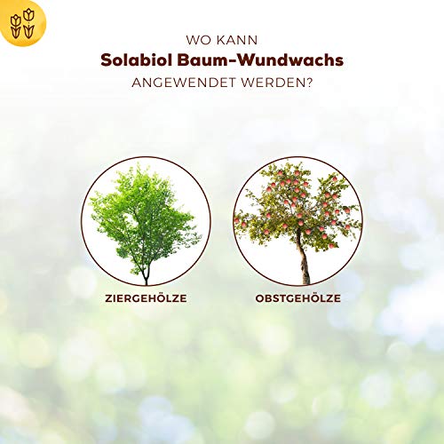 Baumwachs Solabiol Protect Home für Obstbäume und Ziergehölze