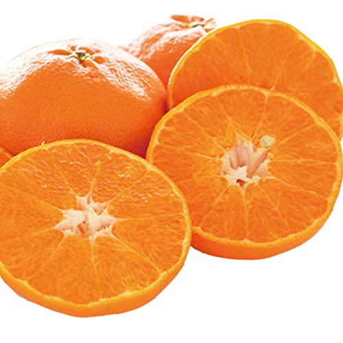 }VFQ Õ 2kg p QY k ݂ t[c